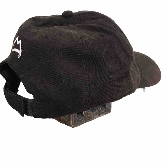 Coors Light NFL Official Beer Sponsor Hat Black Embroidered Logo Cap Adjustable - Picture 8 of 8